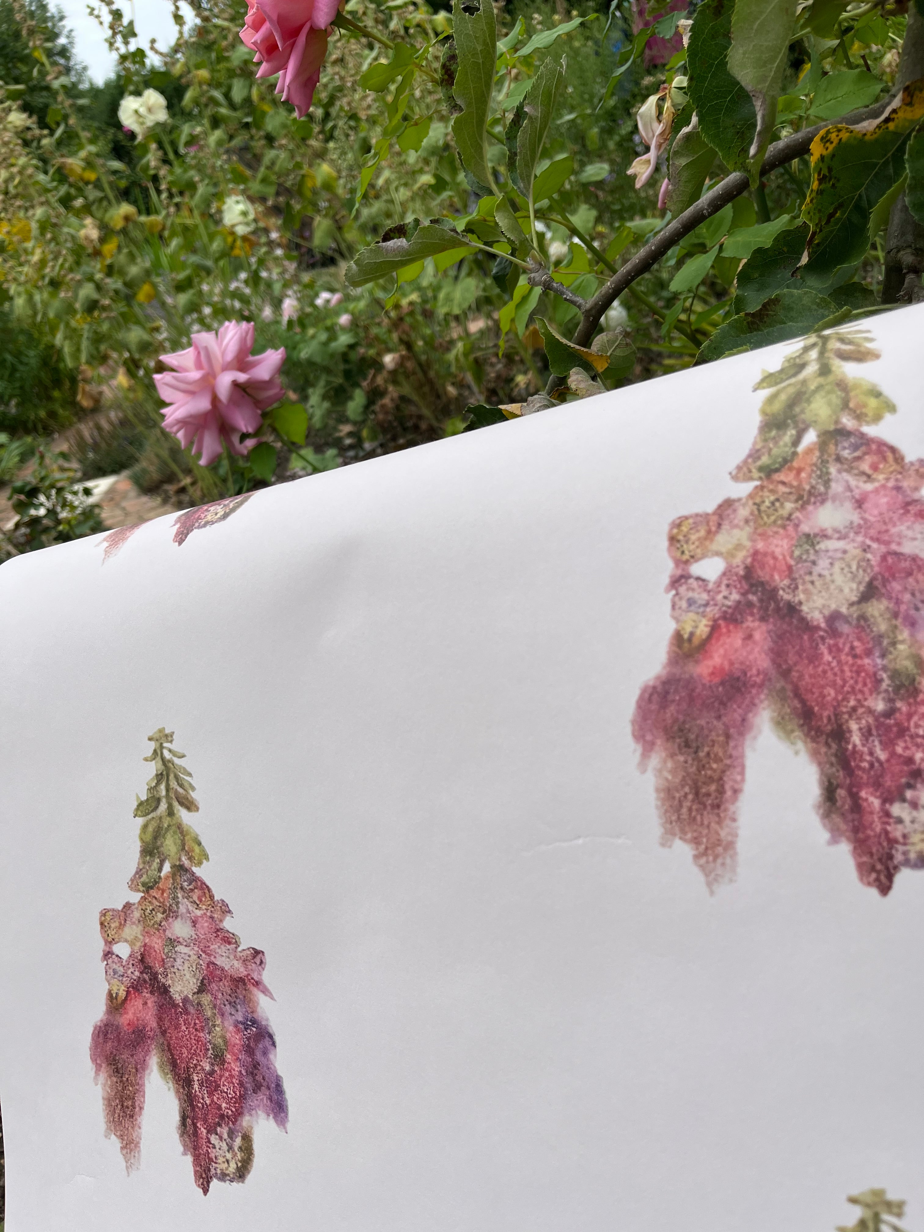 Rapunzel's Garden - Made to Order Collection