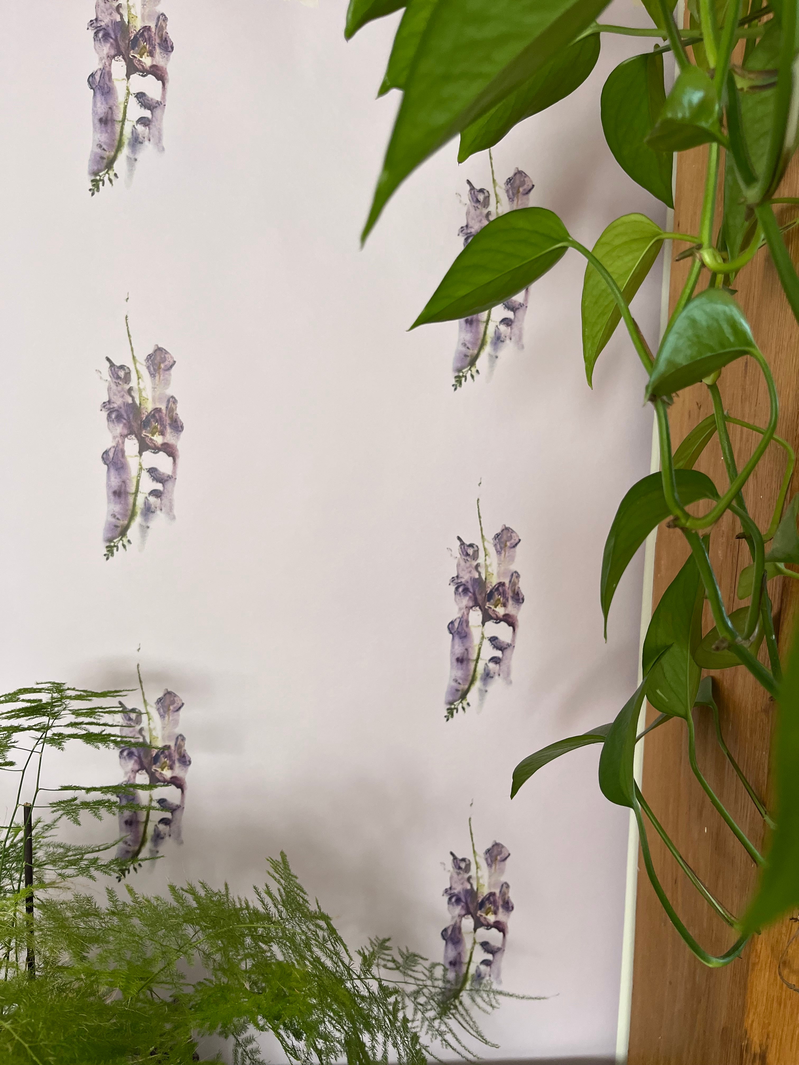 Wisteria Wallpaper - Made to Order