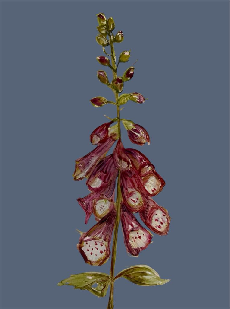 Winter Foxglove Wallpaper - Made to Order