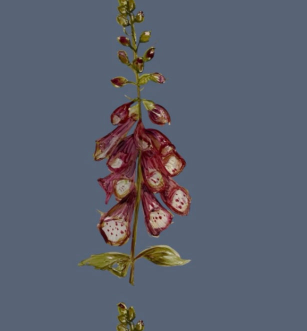Winter Foxglove Wallpaper - Made to Order