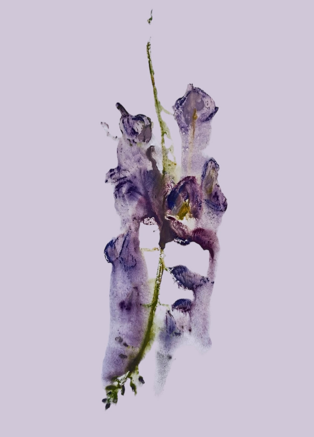 Wisteria Wallpaper - Made to Order