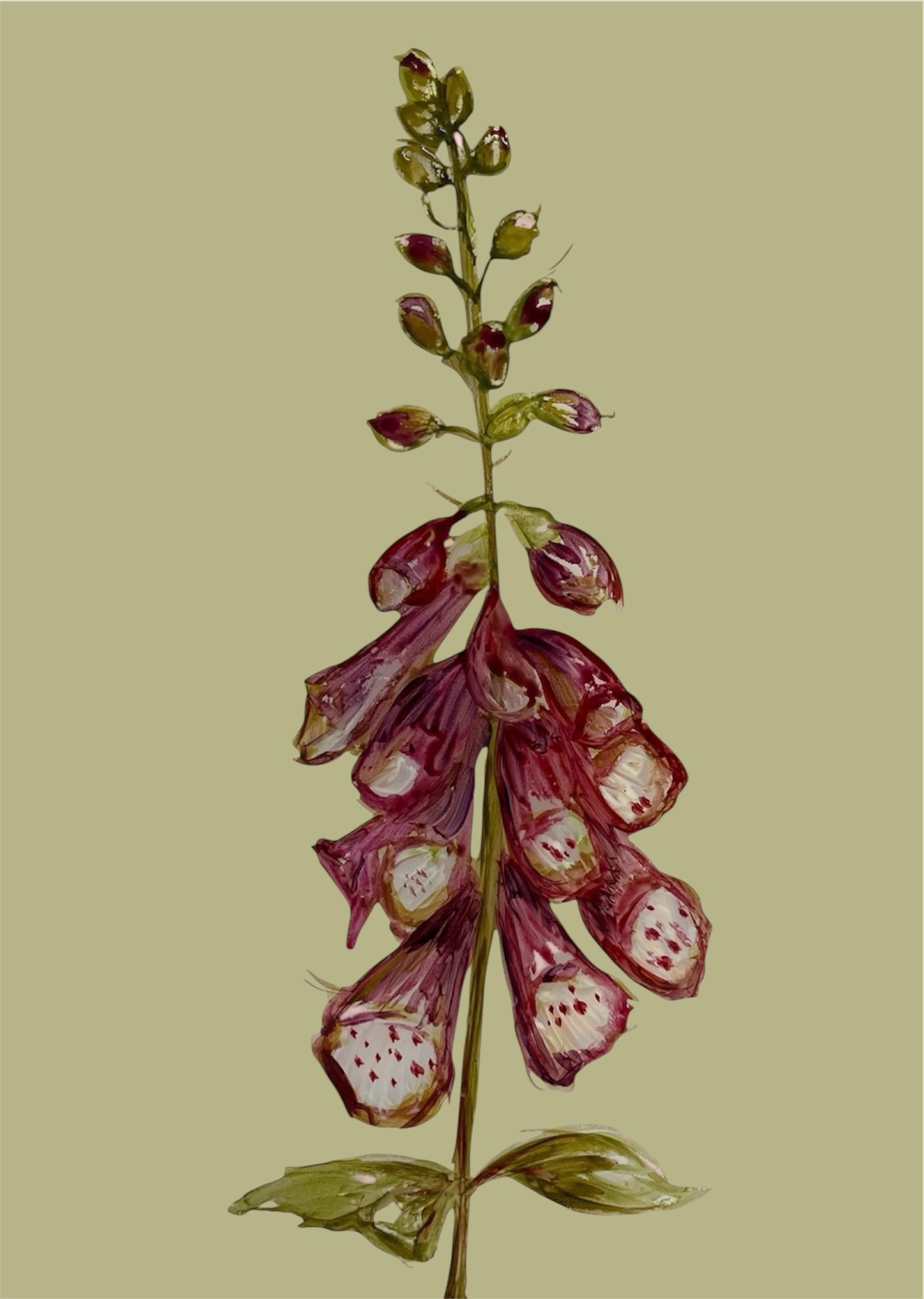 Spring Foxglove Wallpaper - Made to Order