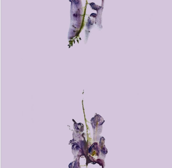 Wisteria Wallpaper - Made to Order