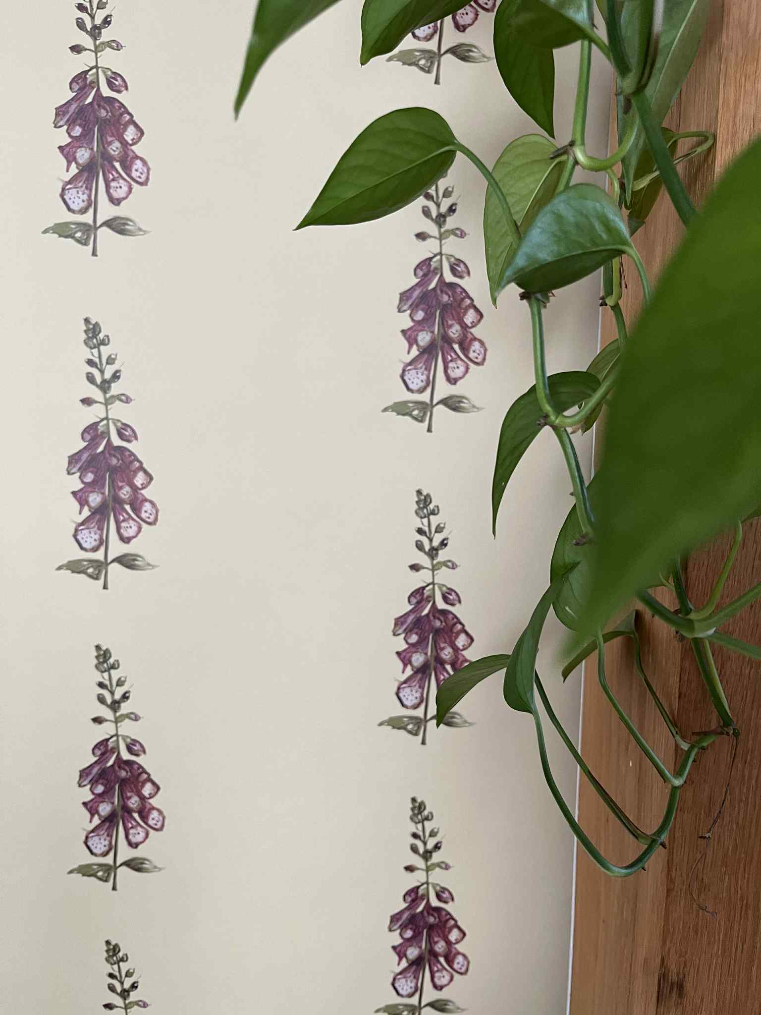 Spring Foxglove Wallpaper - Made to Order
