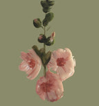 Hollyhocks Wallpaper - Made to Order