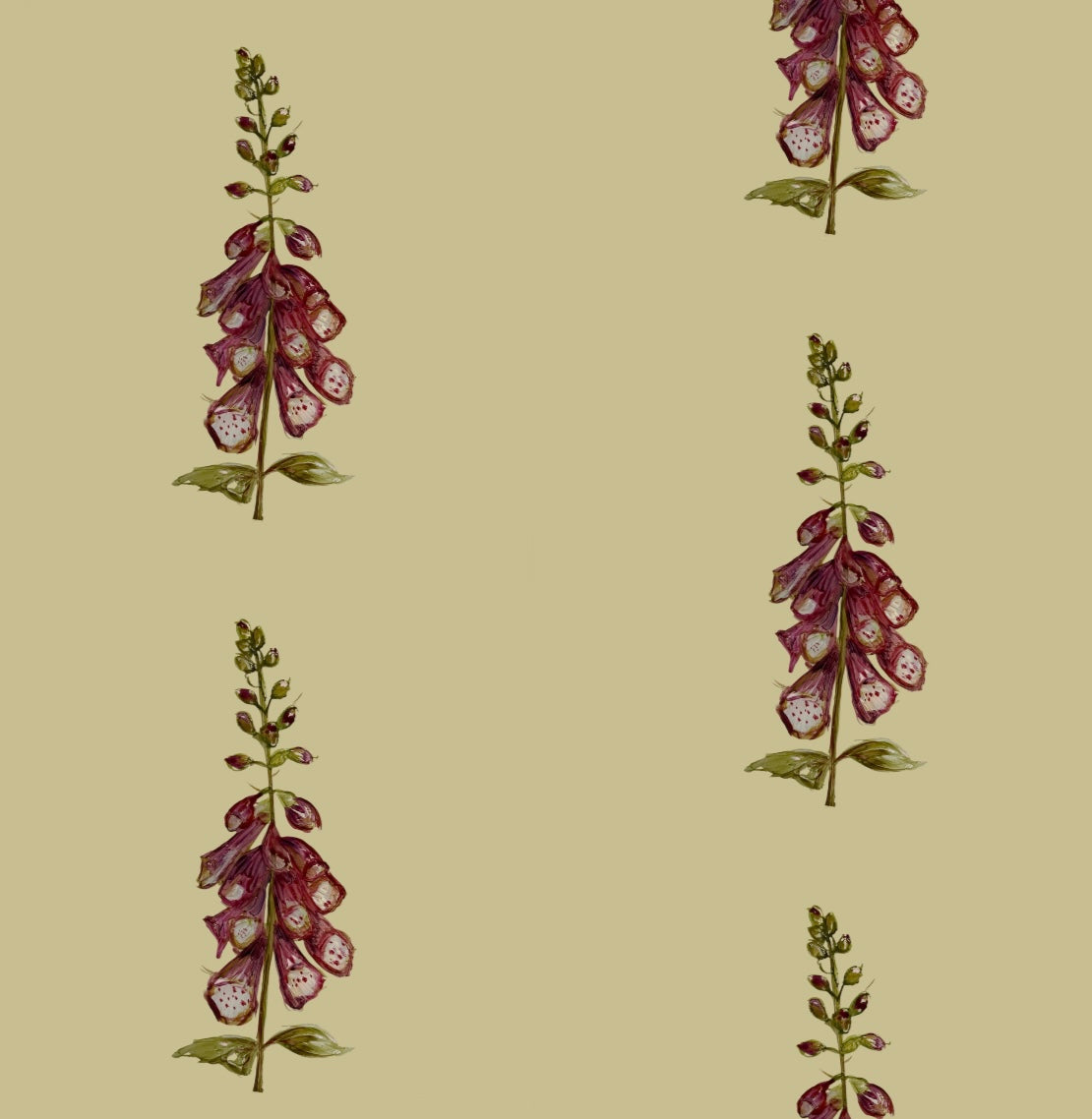 Spring Foxglove Wallpaper - Made to Order