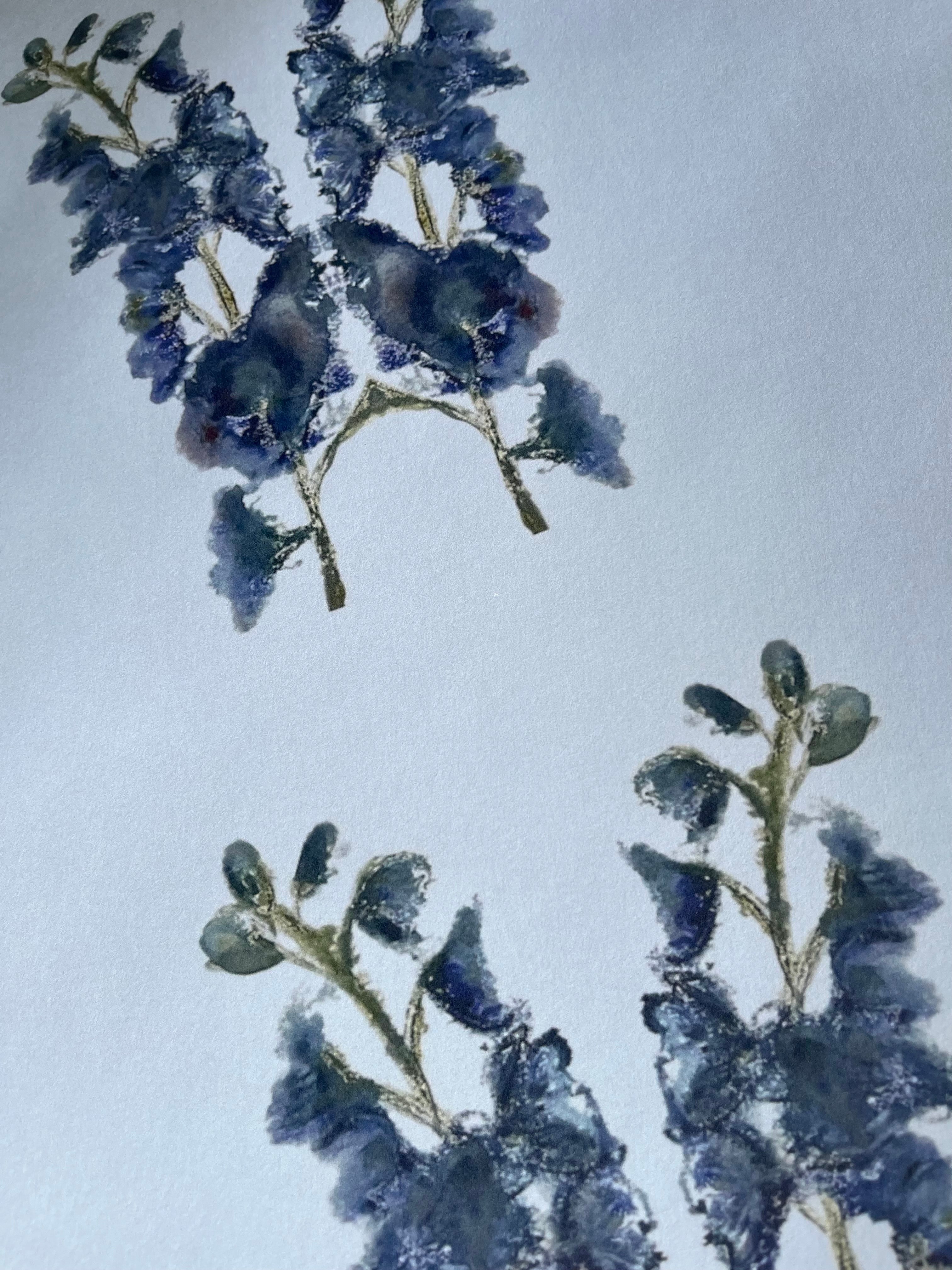 Delphinium Queen Wallpaper - Made to Order