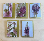 Autumn Garden Note Card Pack