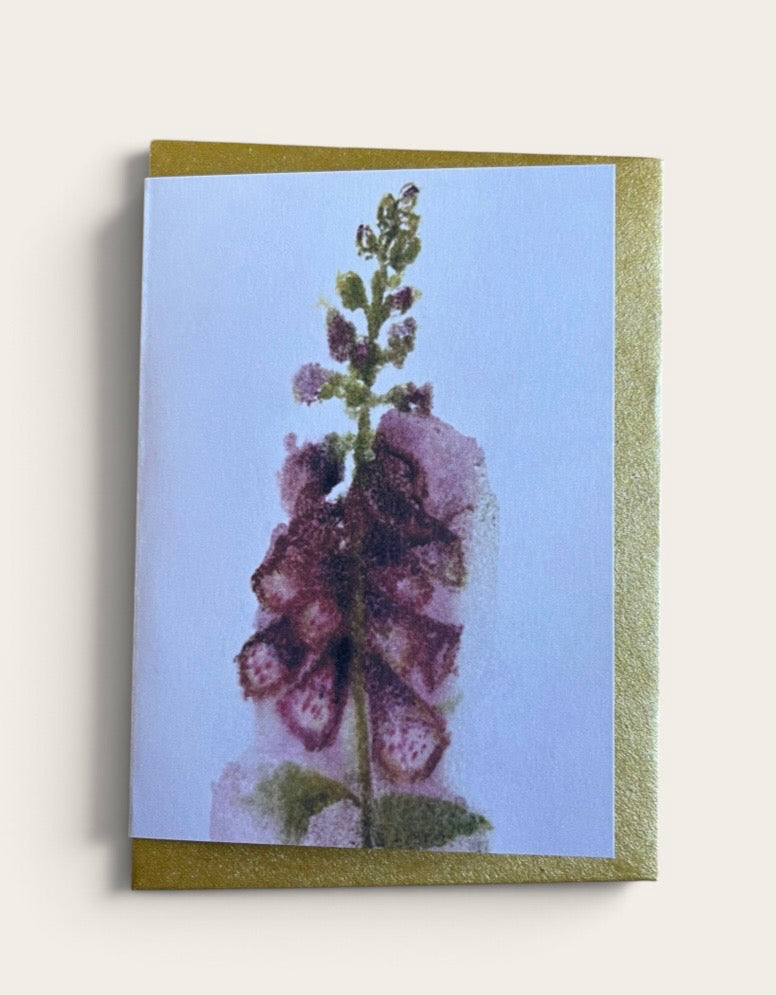 Autumn Garden Note Card Pack
