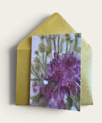 Autumn Garden Note Card Pack