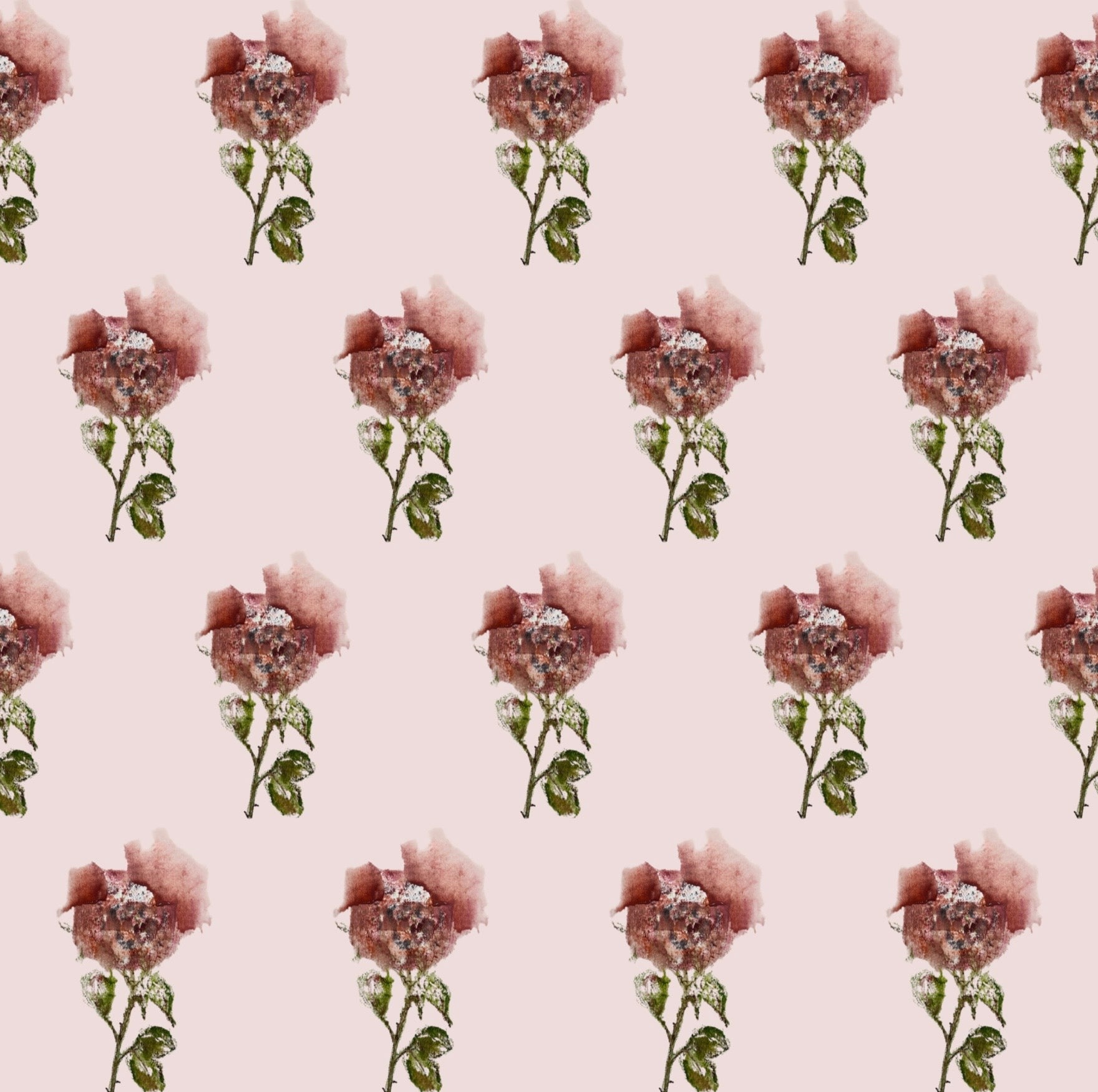 The Promise Pink Wallpaper - Made to Order