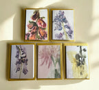 Rapunzel’s Garden Note Card Pack