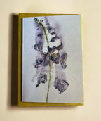 Rapunzel’s Garden Note Card Pack