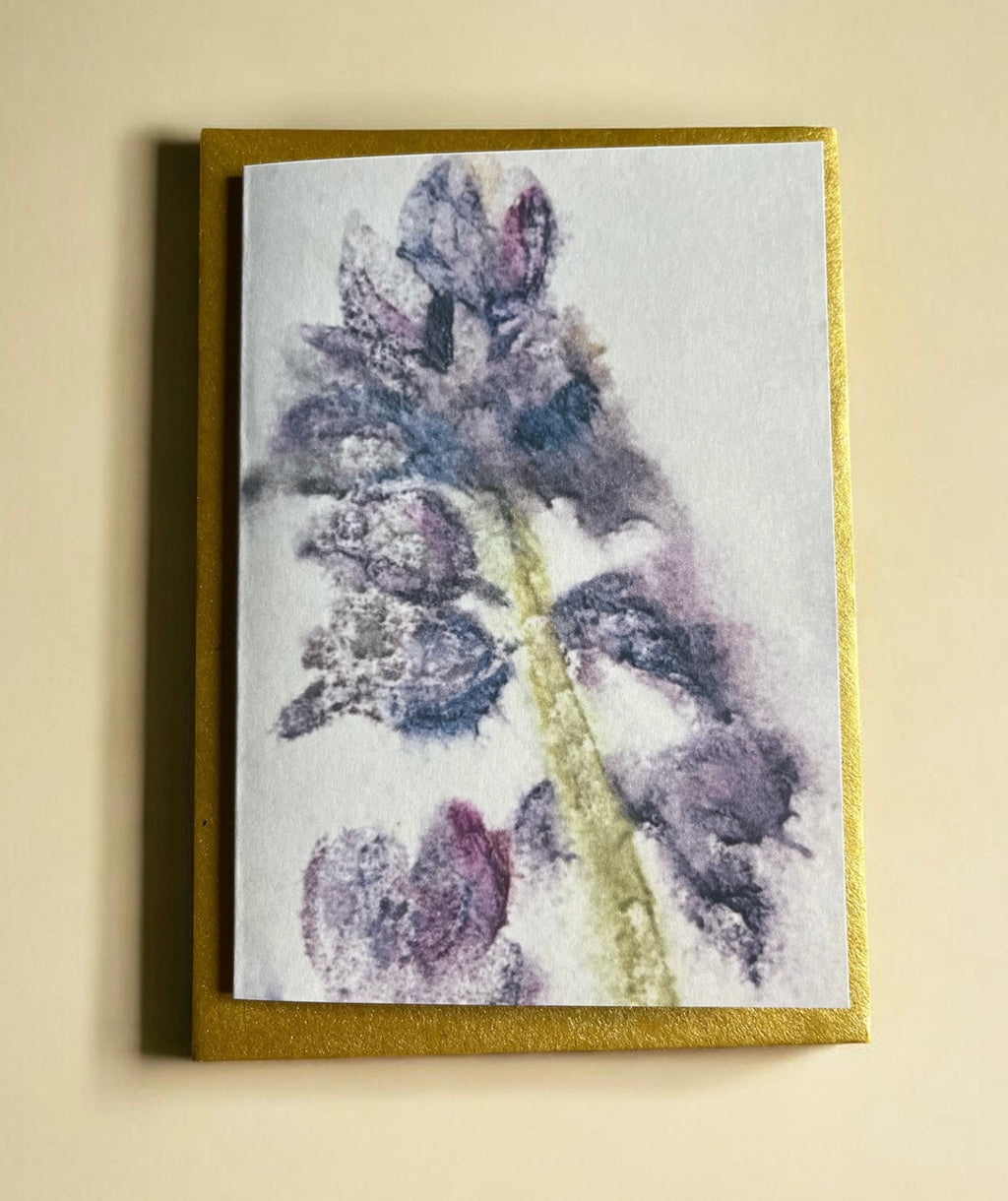 Rapunzel’s Garden Note Card Pack
