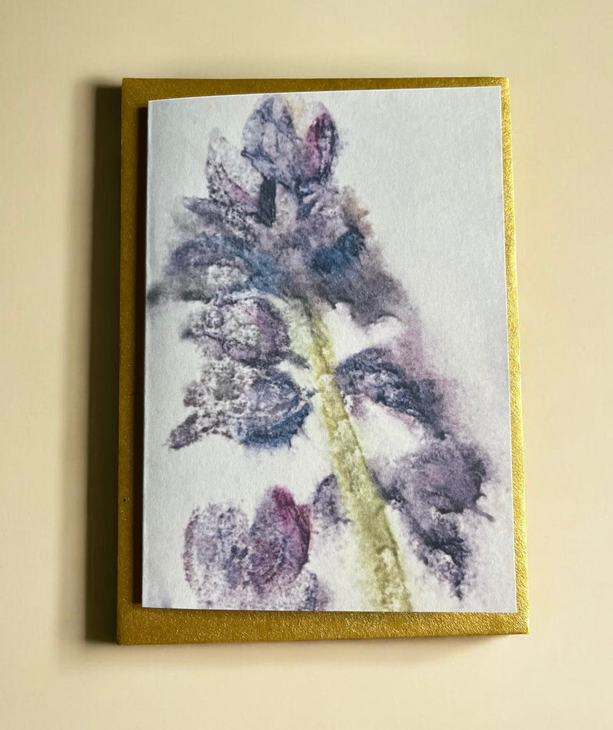 Rapunzel’s Garden Note Card Pack