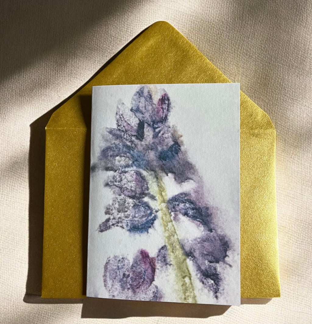 Rapunzel’s Garden Note Card Pack