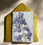 Rapunzel’s Garden Note Card Pack