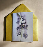 Rapunzel’s Garden Note Card Pack