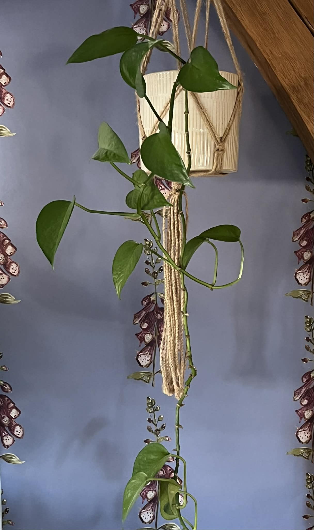 Winter Foxglove Wallpaper - Made to Order